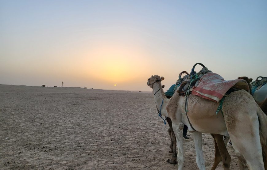 Descopera Tunisia – Excursie in Sahara de 2 zile