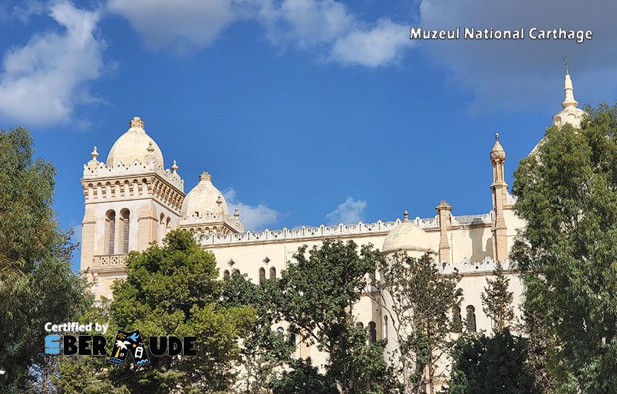 Descopera Tunisia – Tur o zi: Carthage – Sidi Bou Said – Medina Tunis