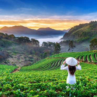 Vietnam