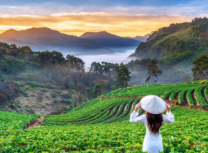 Oferte circuite Vietnam inBERMUDE - Vietnamul de Poveste